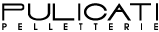 logo_pulicati